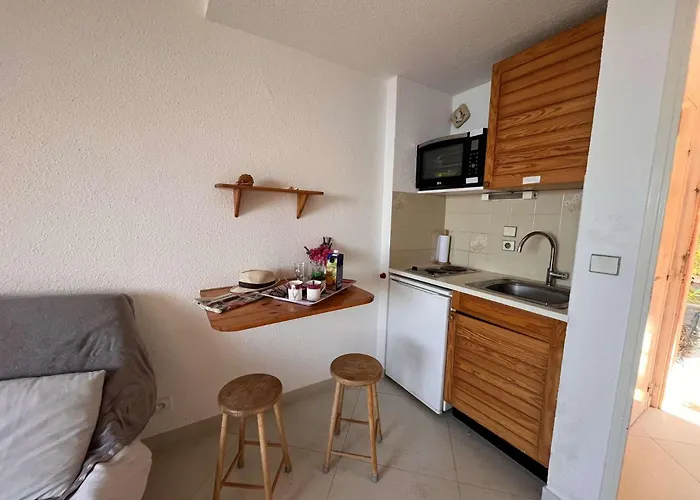 Sr030-508 Appt Mezzanine 4 Personnes St Raphael